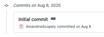 Screenshot of the first commit on Github